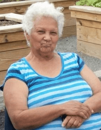 Julia A. Disla Castillo Obituary